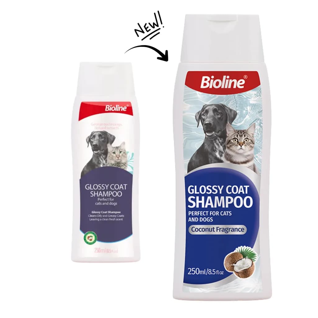 Bioline Glossy Coat Shampoo-Dogs And Cats - image 1