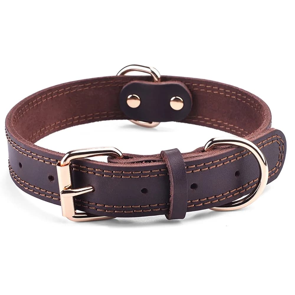 Test Cat Collar