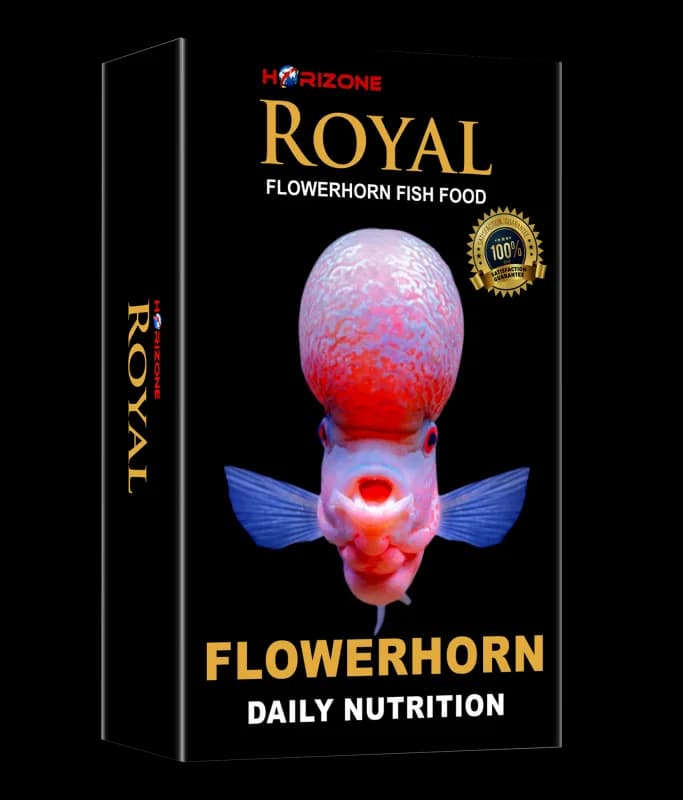ROYAL FLOWERHORN FISH FOOD - image 1