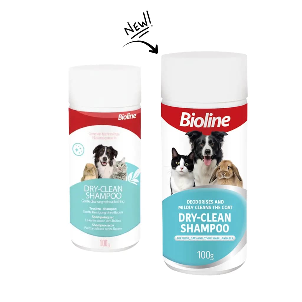 Dry Shampoo - image 1