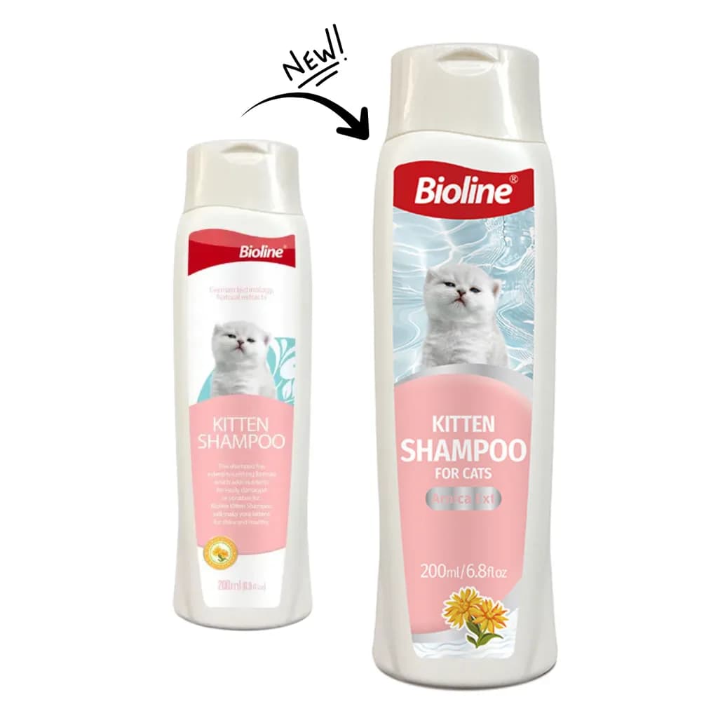 Kittan shampoo - image 1