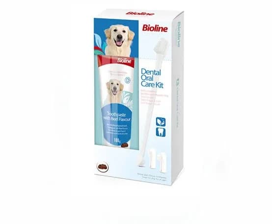 Toothpaste with Beef Flavor - image 1