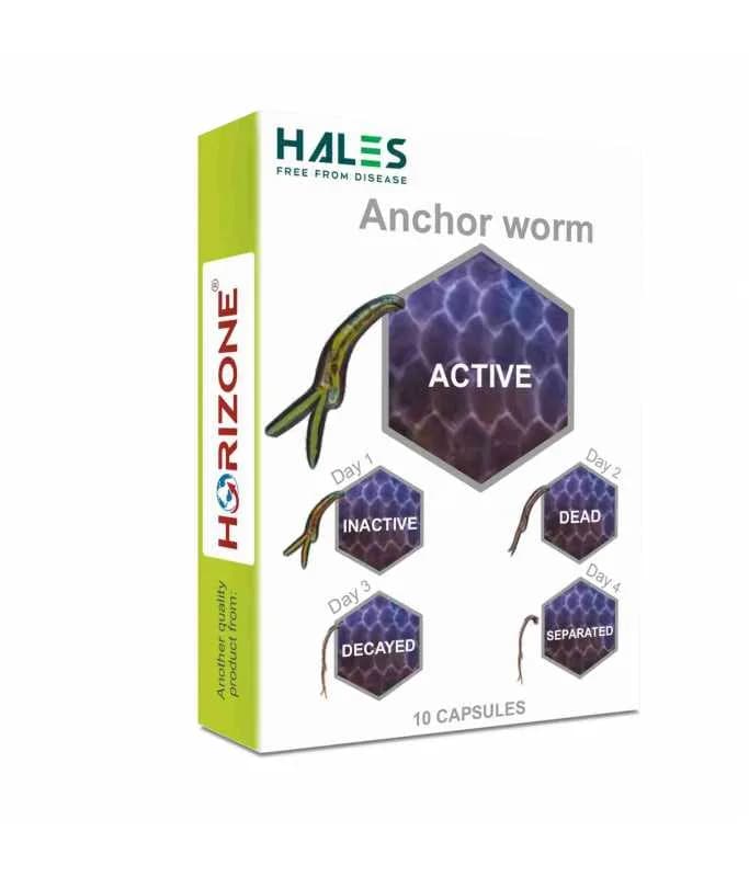 HALES ANCHORWORM - image 1